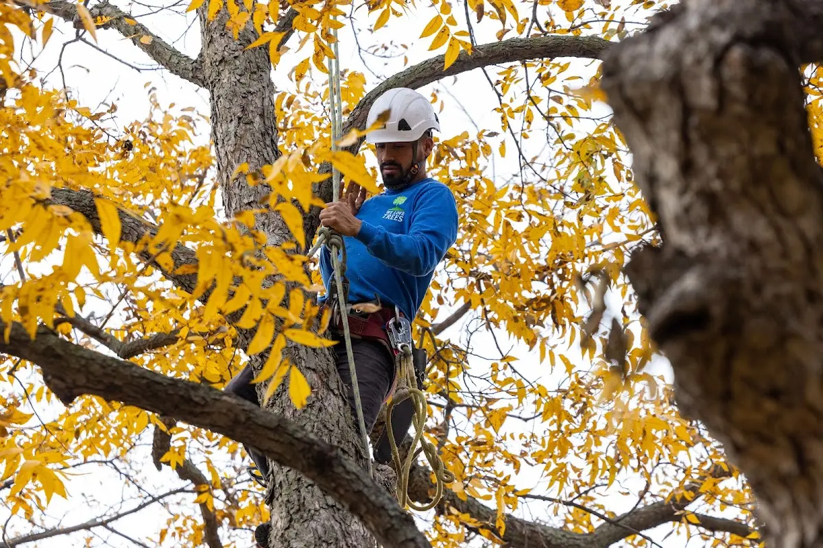 Skilled Storm Damage Cleanup crew working in Blue Lake